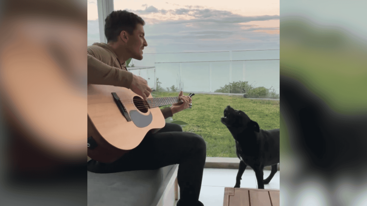 Adopted Pit Bull loves to talk and sing to dad.
