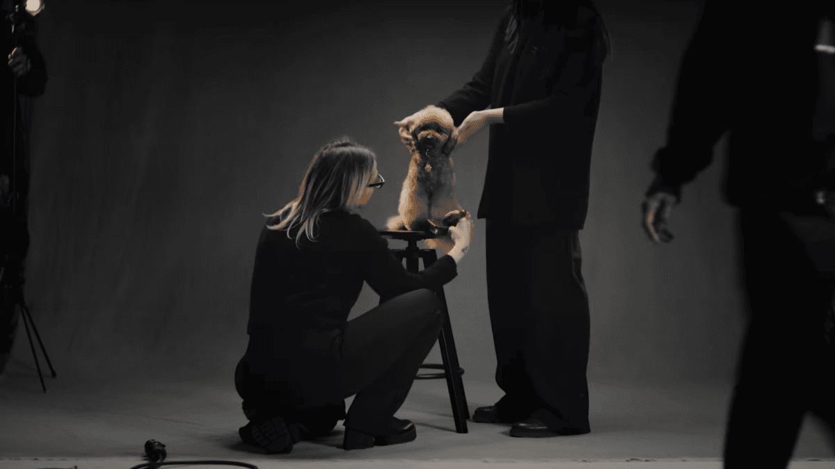 Grooming dog for Dolce & Gabbana’s marketing campaign for its dog perfume.