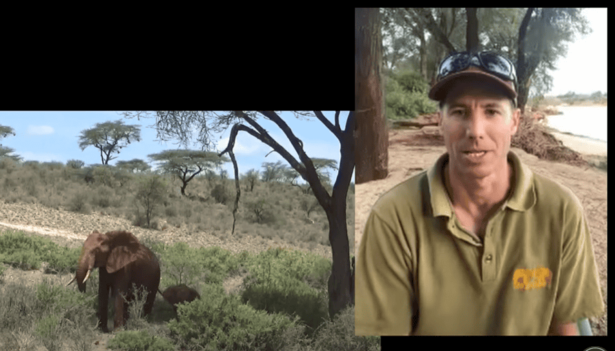 George Wittemyer explains the research about elephant communication.