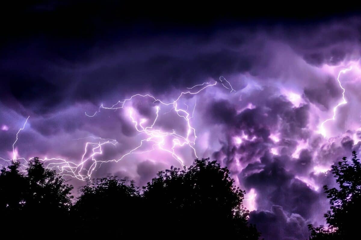 Lightning and trees.