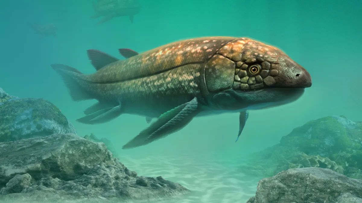 The Remarkable 210-Million-Year Lungfish's Legacy Unveils New Relevant Findings