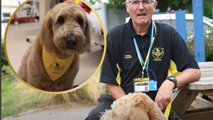 Man Brings His Dog to Hospital Ward to Spread Joy and Hope