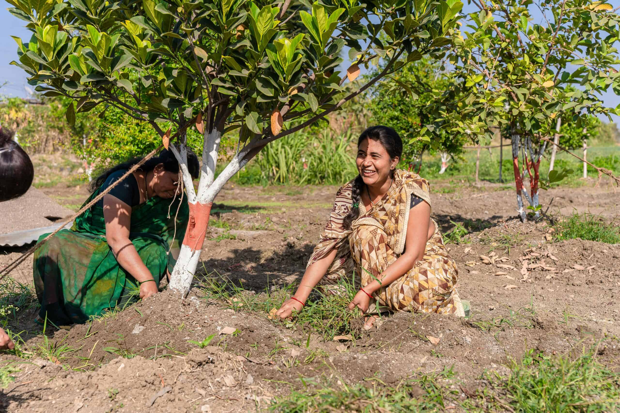 Planting together