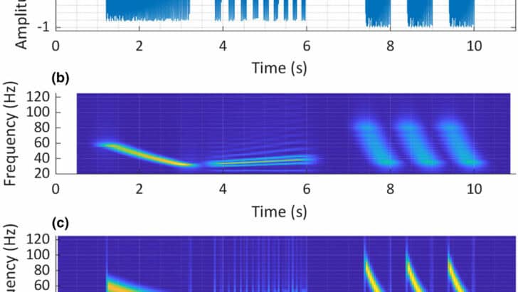 Cutting-Edge Sound Technology Becomes Lifeline for Endangered Species