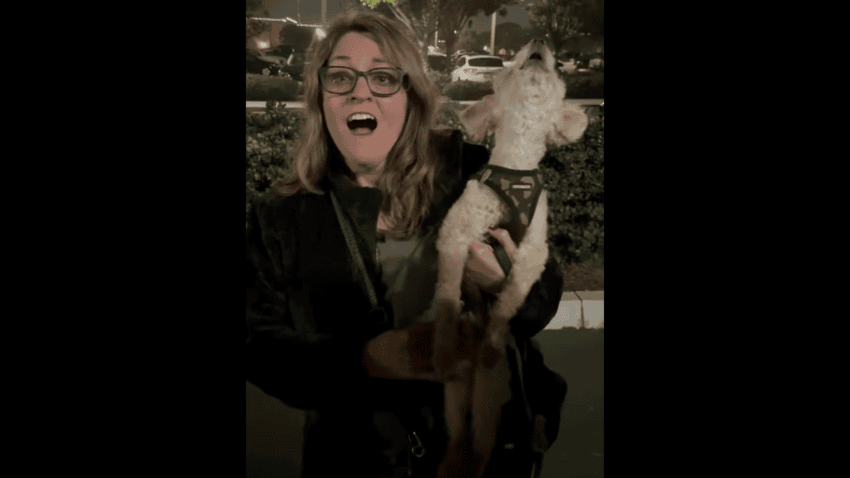 Dog shocks owner by singing for the first time.