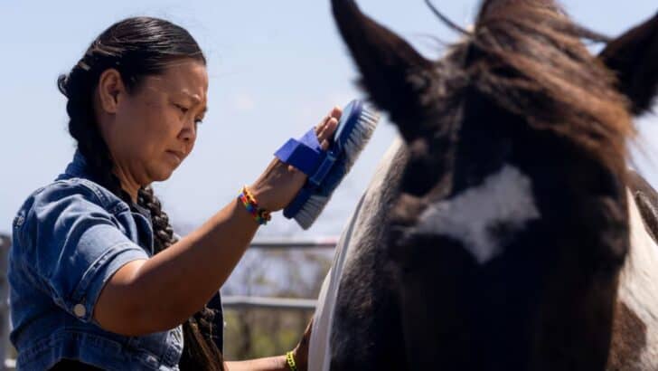 Spirit Horses Help Maui Wildfire Survivors Heal from Trauma