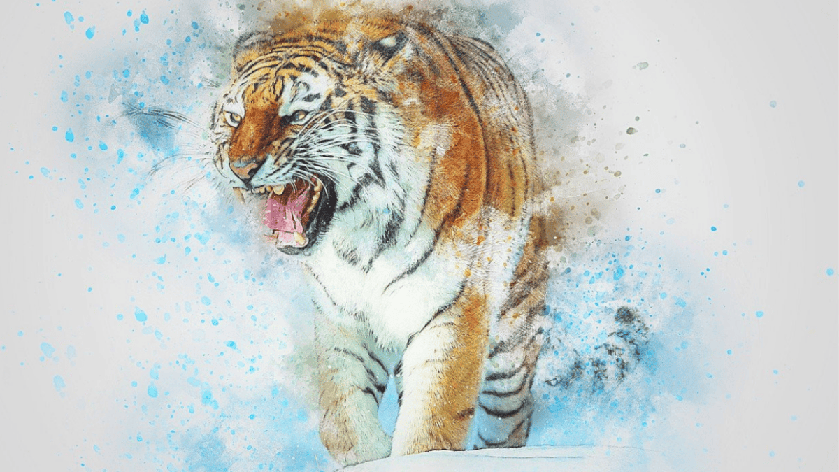 Tiger spirit animal-aggression