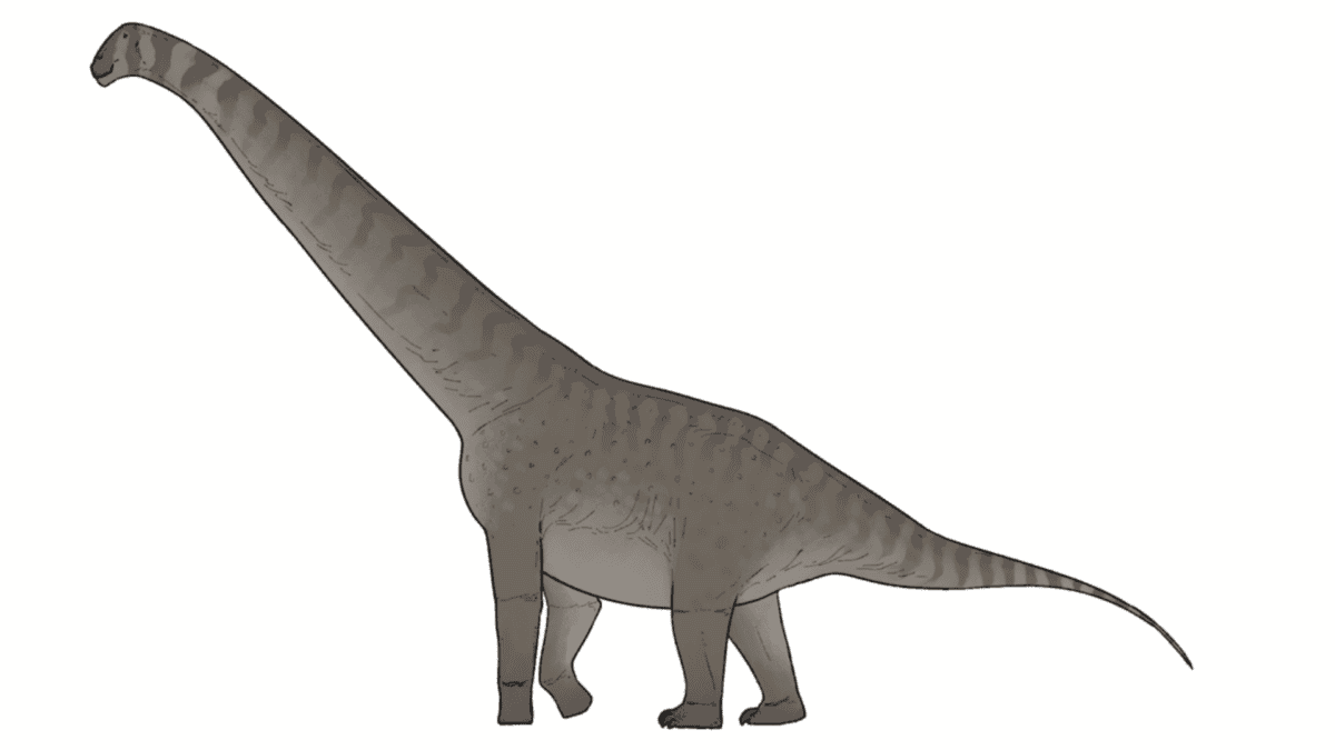 Life reconstruction of Qunkasaura pintiquiniestra