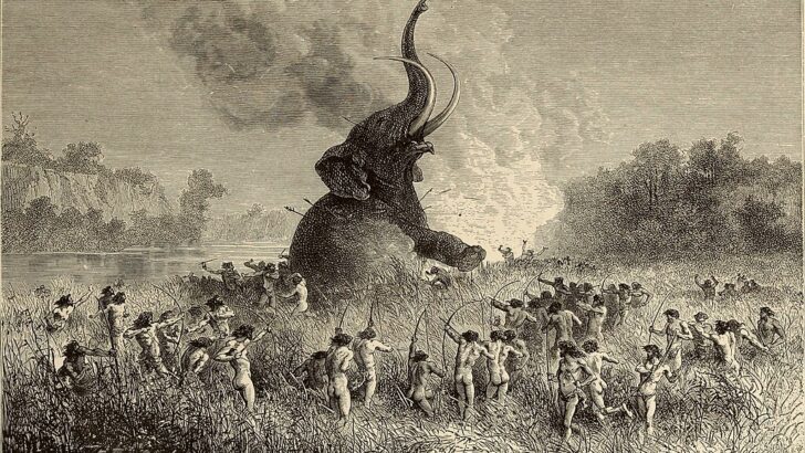 De-Extinction and the Implications of Playing the Creation Game