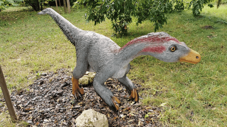 Top 10 Dinosaur Relatives Still Roaming Earth Today