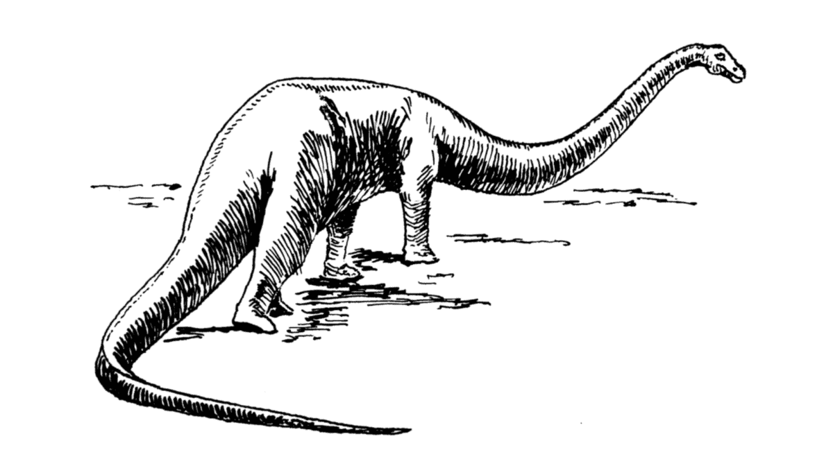 Sauropod