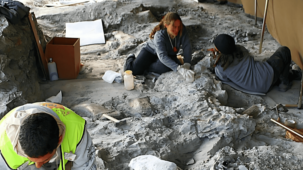 Excavations at the dinosaur site of Lo Hueco