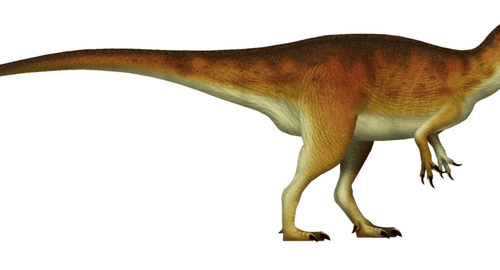 165 Million-Year-Old T-Rex Doppelganger Unearthed on the Other Side of the World&nbsp;