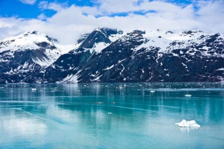 The Most Loyal Dog Breeds That Thrive in the Harsh Winters of Alaska
