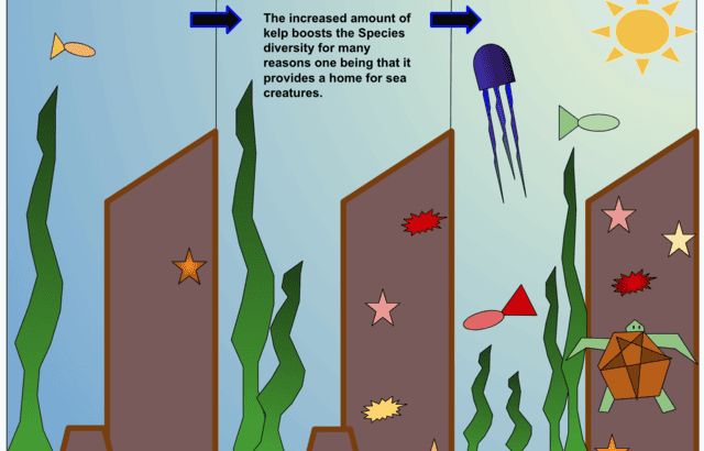 New ‘Biodiversity Crisis’ Exposed – The Hidden Reasons Some Areas Are Rich in Life While Others Aren’t