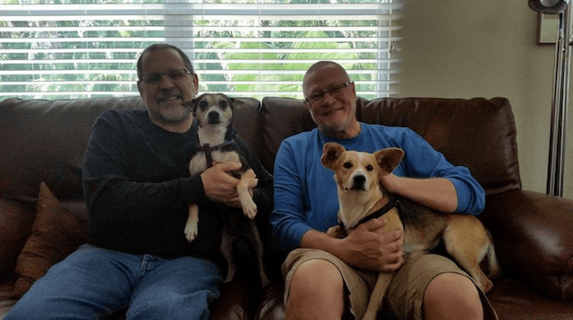 Heartbroken Abandoned Dogs Wait Two Weeks on the Street for Their Owner, Only to Finally Find a Loving Forever Home