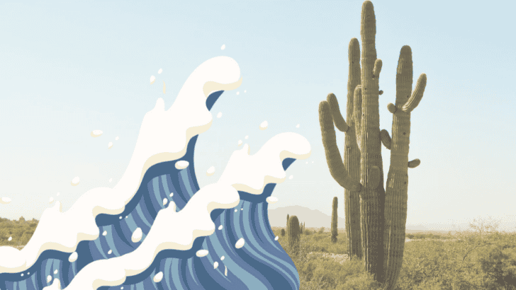 Rising Seas Claims its First U.S. Species with the Extinction of the Key Largo Tree Cactus