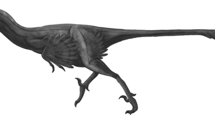 Fossils of 100-Million-Year-Old ‘Genius’ Dinosaur Discovered in Japan