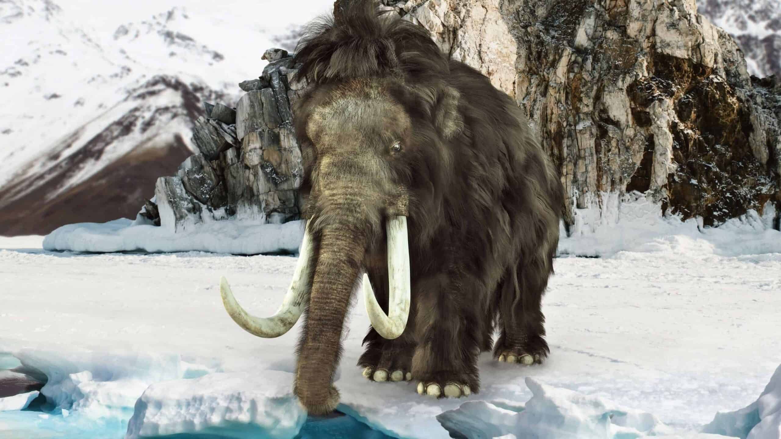 mastodon