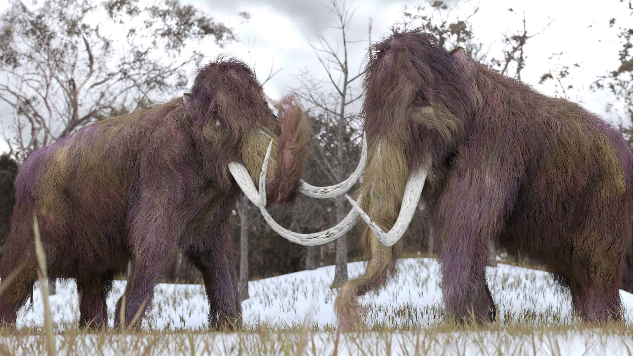 mastodon