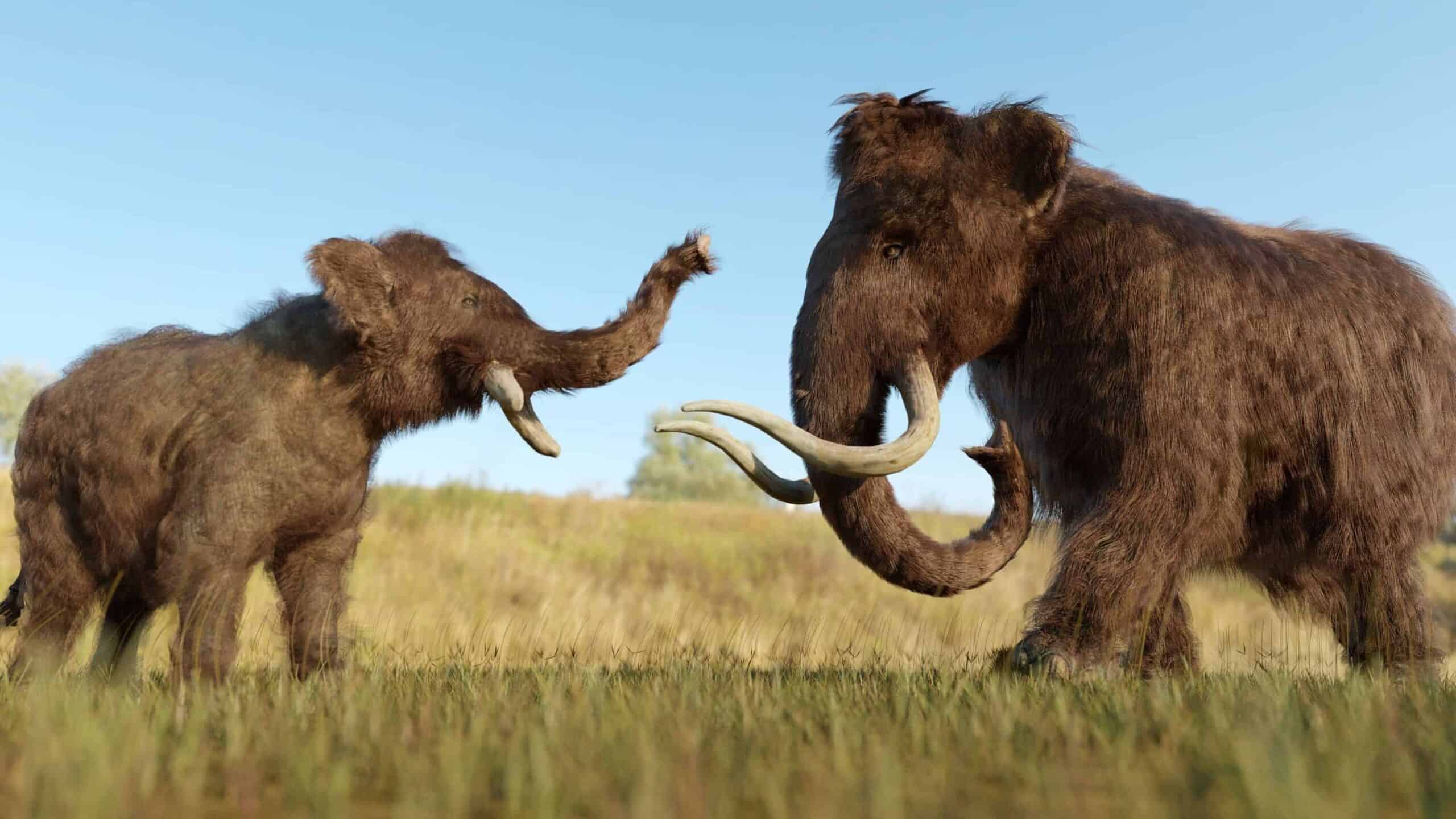 mastodon