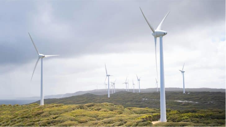 Renewable Energy or Weather Disruption? Hot Take On Windfarms