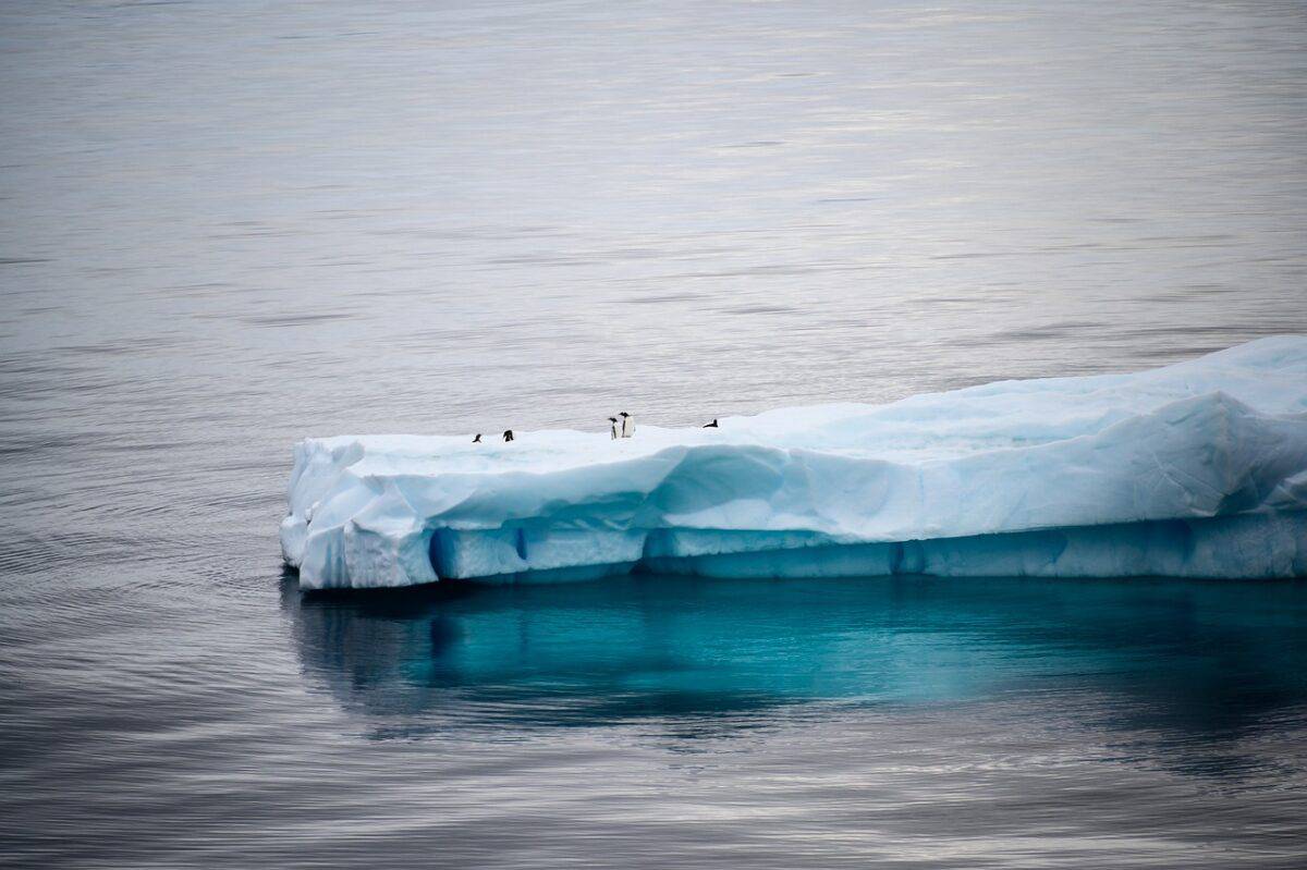 Arctic