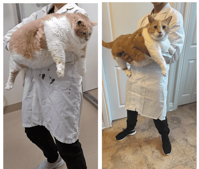 Before and after Axel's weight loss journey. 