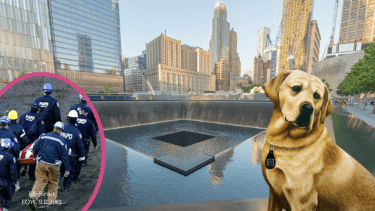 Remembering Sirius, The K9 Hero of 9/11 Who Fell in The Line of Duty