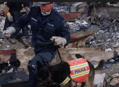 Remembering Trakr, the Hero K9 Who Saved the Last Survivor of 9/11