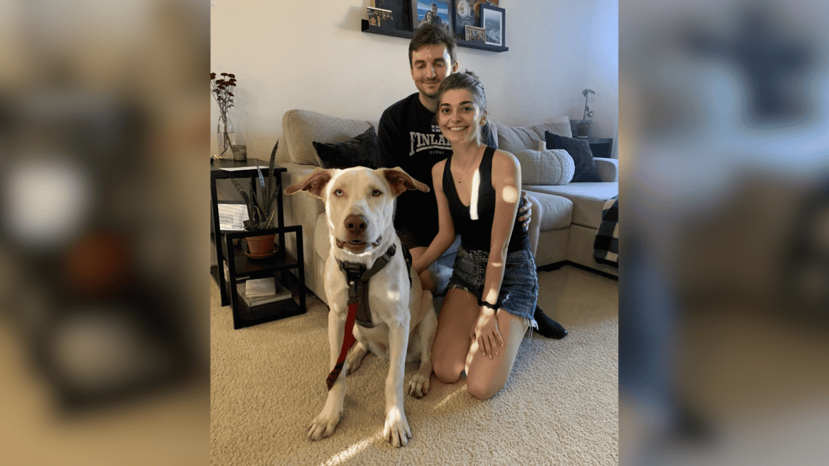 Rescued dog with forever family.