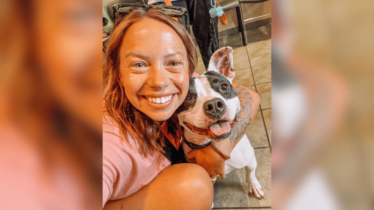 Shelter dog finds forever family.