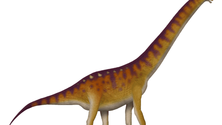 New Sauropod Dinosaur Discovered on the Iberian Peninsula