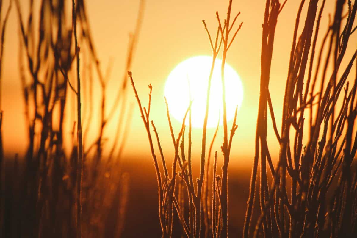 hottest summer on record
