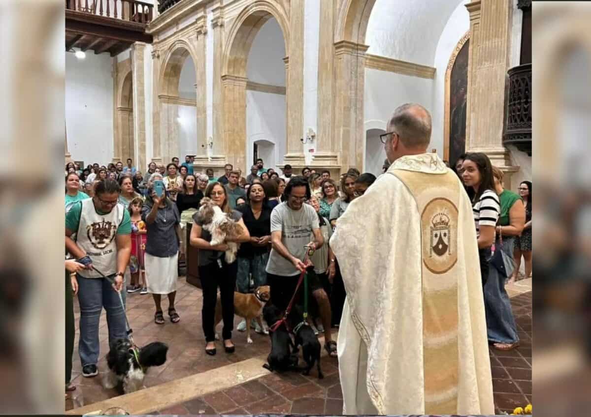 Father João with his parishioners supporting adoption and rescue missions.