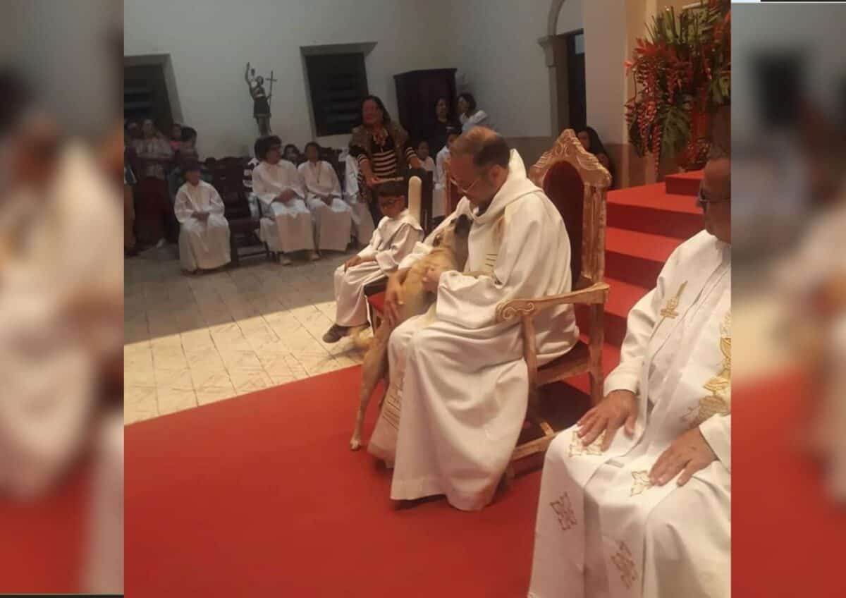 Father João petting a dog.