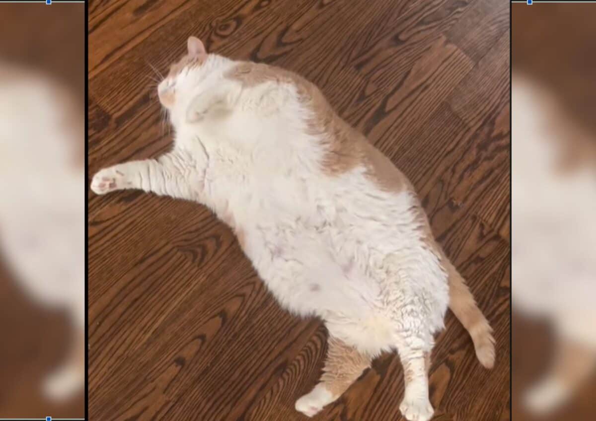 Axel lying on the floor. 