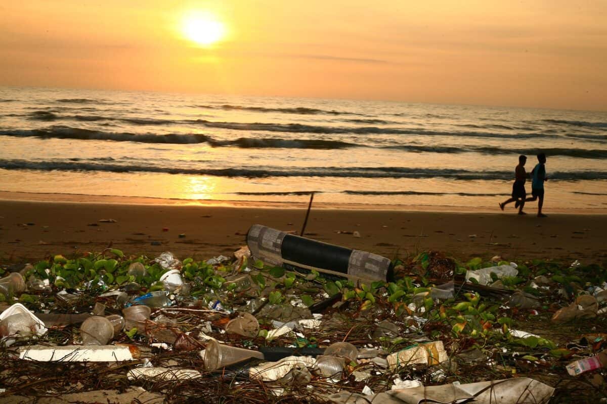 plastic pollution
