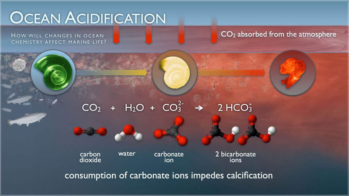 Ocean acidification
