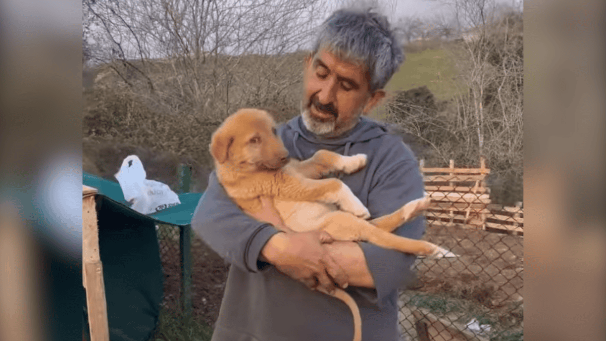 Rescued dog saying goodbye to rescuer.