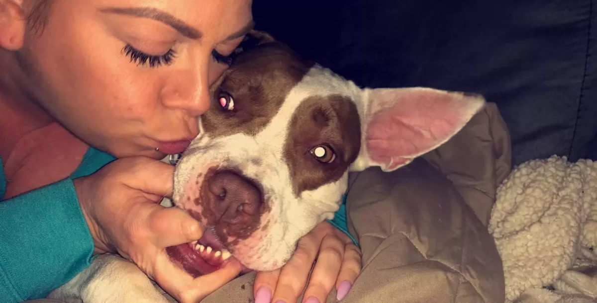 Abandoned Dog Returned for a Silly Reason Finds Love and a Forever Home