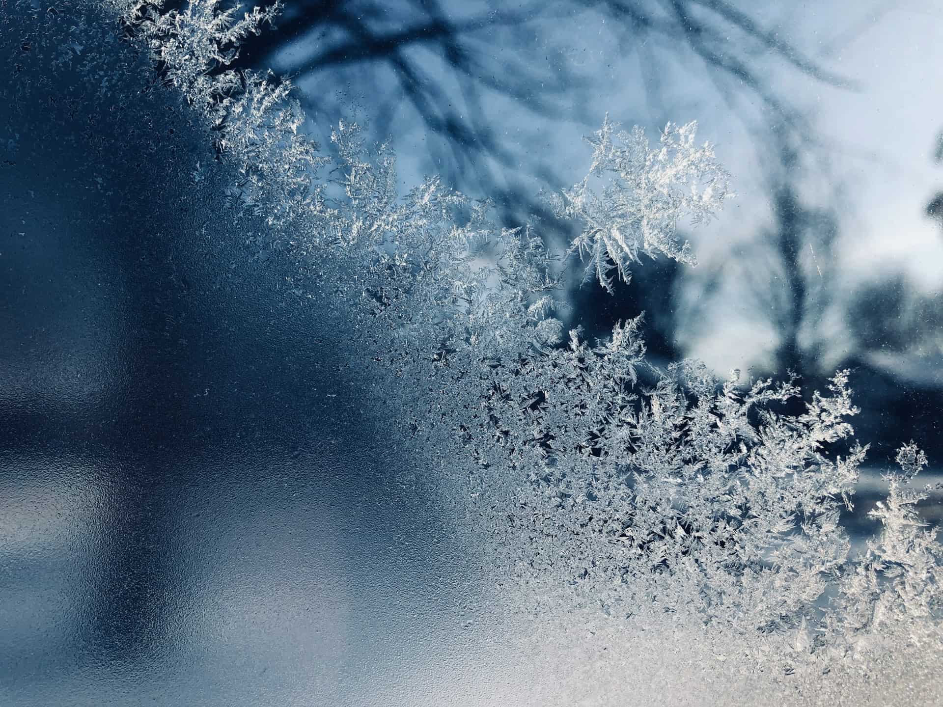 frost 