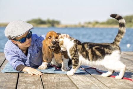 What Every Dog Owner Should Know