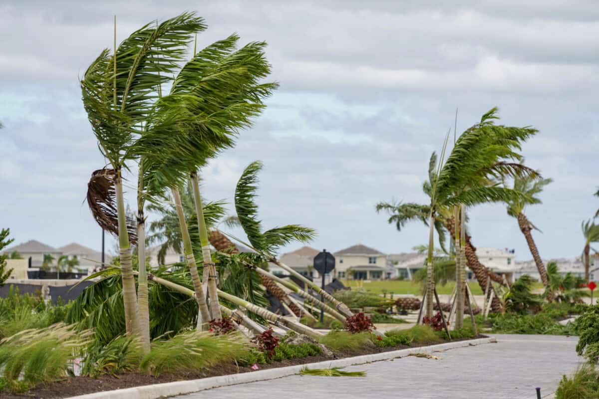 Hurricane Milton. Image by felixtm via Depositphotos.