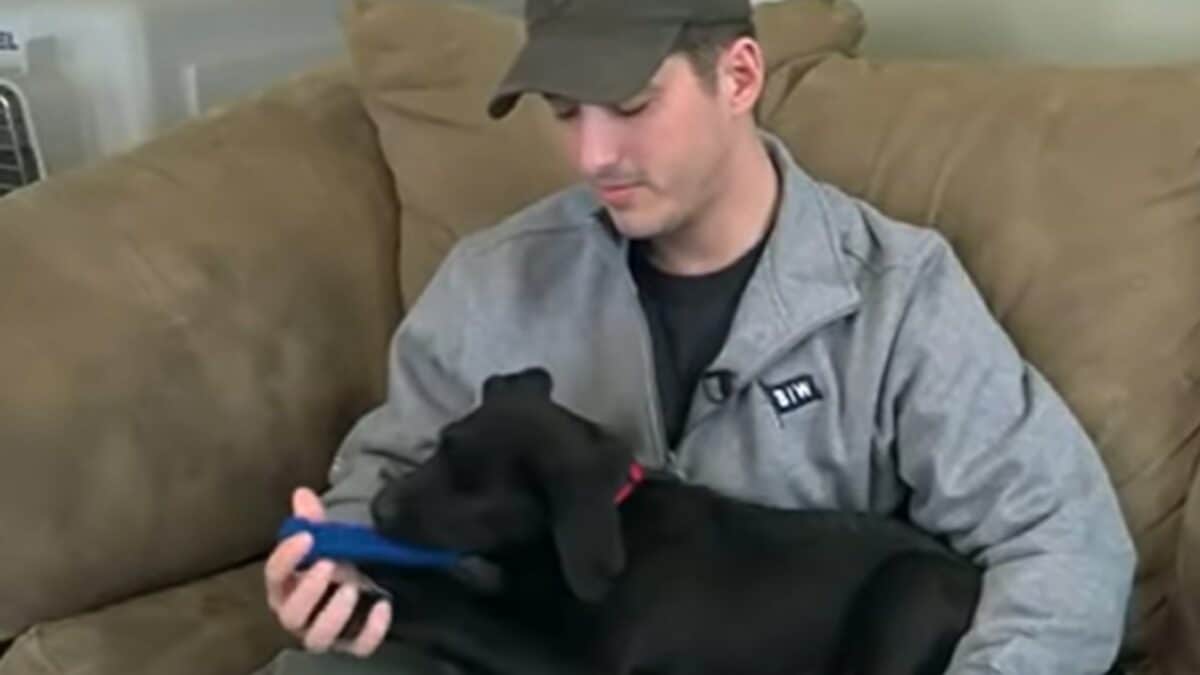 Puppy