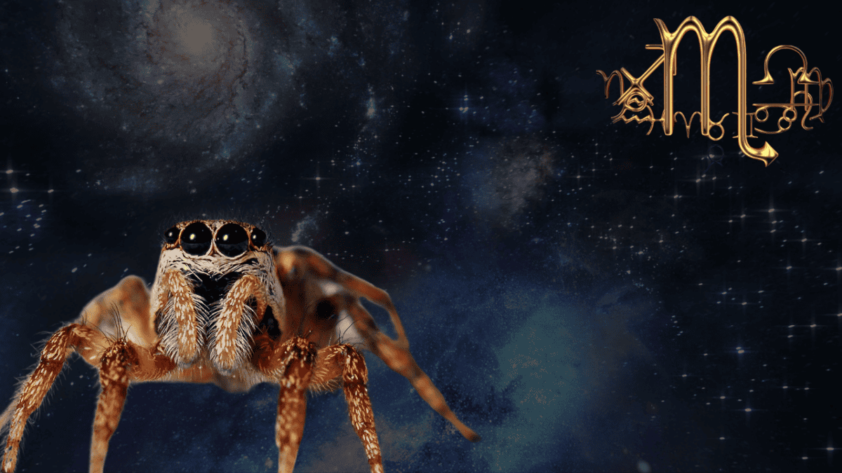 Scorpio Spirit Animal