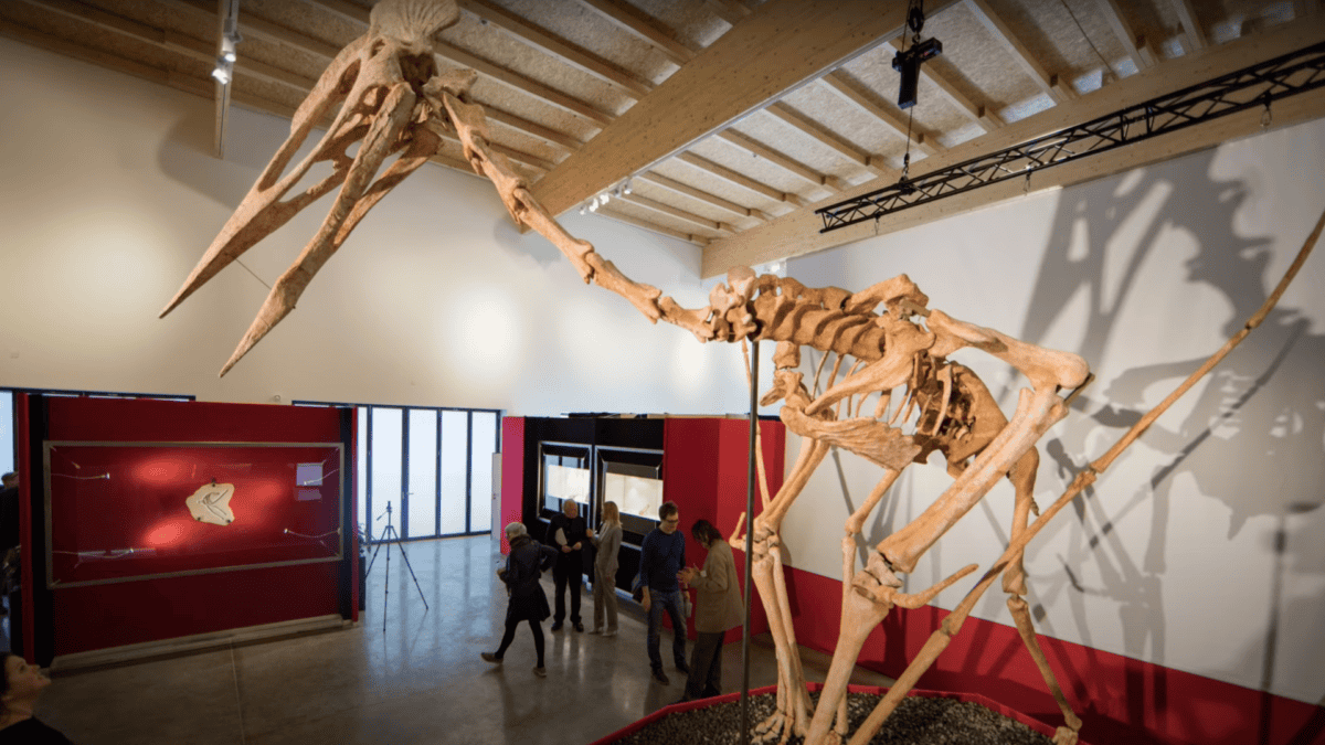 Dracula's skeleton beside people.