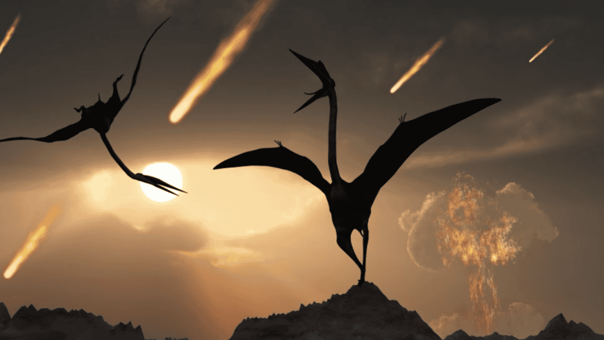 Pterosaur agains a fiery sky.