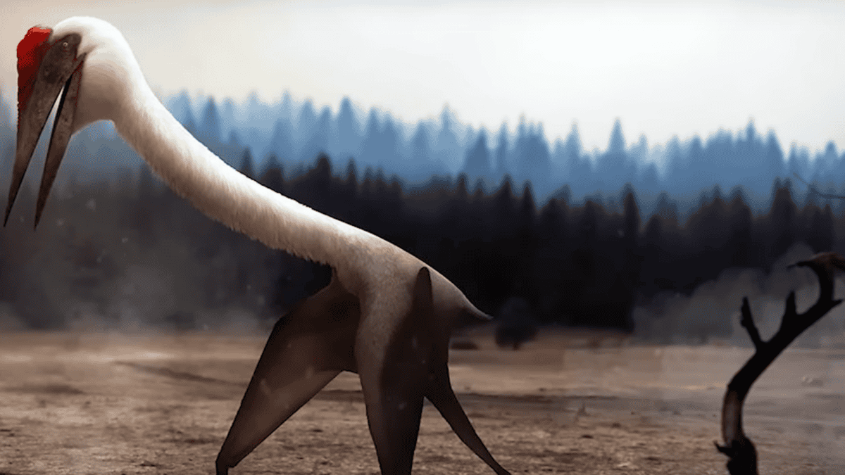 Giant pterosaur walking on dirt.