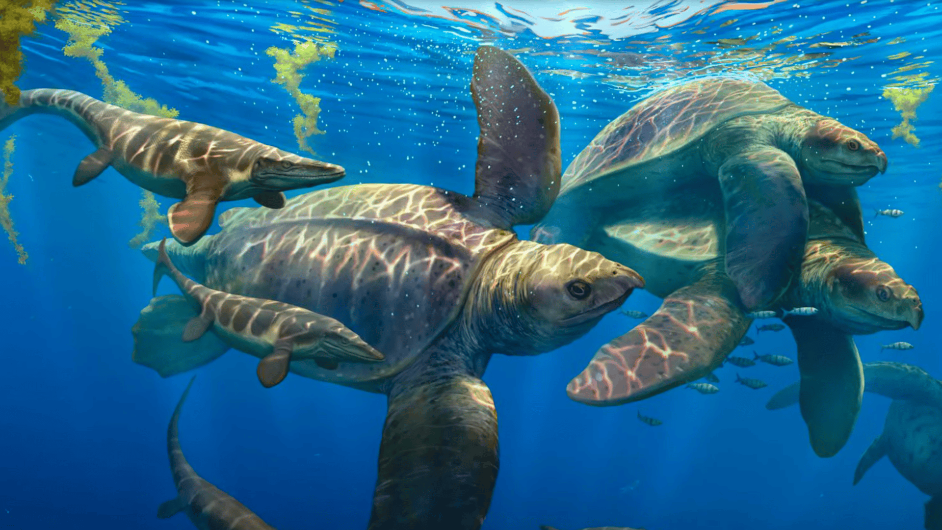 Prehistoric turtles swimming together.